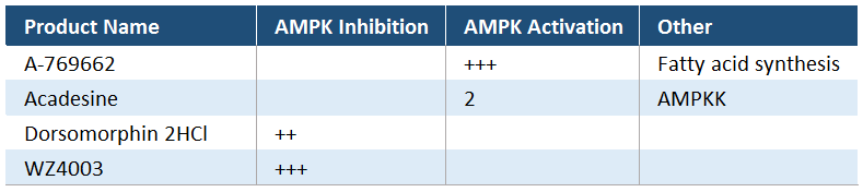 AMPK