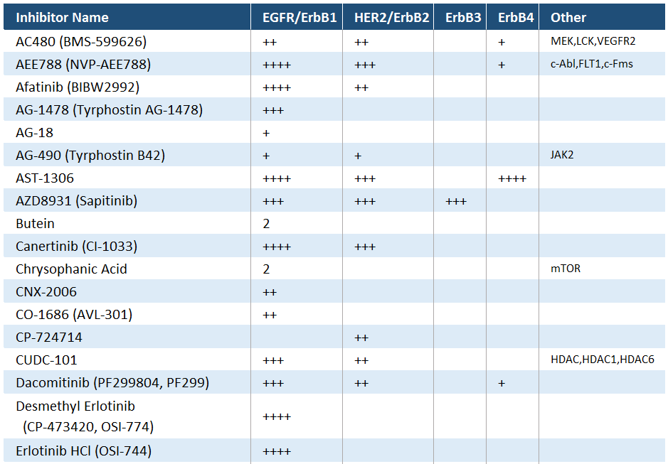 EGFR1