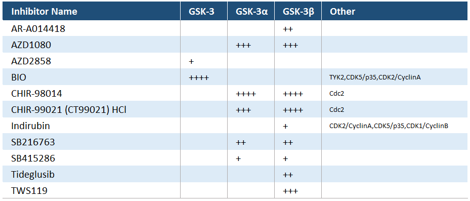 GSK3