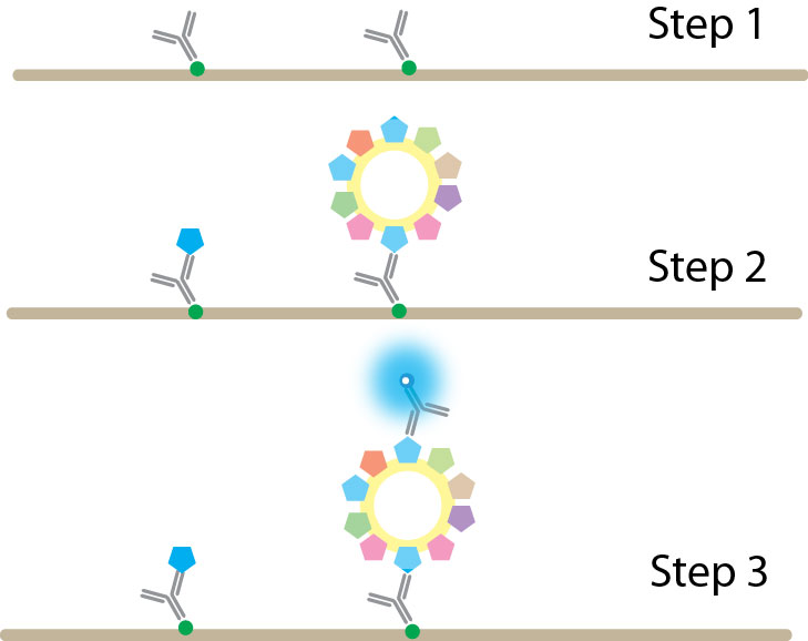 trificassay